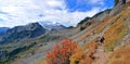 Mount Baker Wilderness with Fall Colors on the Slopes of Table Mountain, Cascades Mountains, Washington Royalty Free Stock Photo