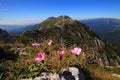 Landscape panorama of Piatra Craiului Mountains