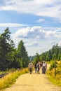 Landscape panorama walking path on Brocken mountain peak Harz Germany