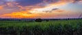 Landscape Panorama of Windmill on a mountain with vast meadows at sunset, beautifully illuminated Royalty Free Stock Photo