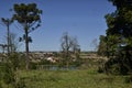 Landscape, with native trees of Brazil in front, lake and city in the background Royalty Free Stock Photo