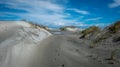 Sand dunes covered by green grass and ocean, Nelson Area, New Zealand Royalty Free Stock Photo