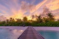 Landscape of paradise tropical island beach, sunrise sunset view. Exotic palm trees, soft sand and calm sea. Summer scene Royalty Free Stock Photo