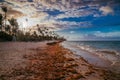 Landscape of paradise tropical island beach, sunset shot against the sun. Royalty Free Stock Photo