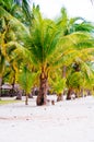 Landscape of paradise tropical island with palms cottages and white sand beach Royalty Free Stock Photo