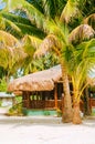 Landscape of paradise tropical island with palms, cottages and white sand beach in Asia Royalty Free Stock Photo