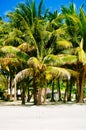 Landscape of paradise tropical island with palms and white sand beach Royalty Free Stock Photo