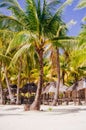 Landscape of paradise tropical island with palms and white sand beach Royalty Free Stock Photo