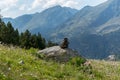 Landscape of the Parc Natural de la Vall de Sorteny, Pyrenees, Andorra