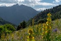 Landscape of the Parc Natural de la Vall de Sorteny, Pyrenees, Andorra