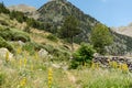 Landscape of the Parc Natural de la Vall de Sorteny, Pyrenees, Andorra