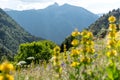 Landscape of the Parc Natural de la Vall de Sorteny, Pyrenees, Andorra