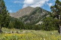 Landscape of the Parc Natural de la Vall de Sorteny, Pyrenees, Andorra