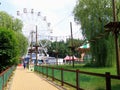 Landscape in the park with alley and ferris wheel.