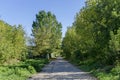 Landscape of park by Beli Lom river at Razgrad Royalty Free Stock Photo