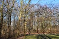 Landscape in the Park Big Tiergarten in Winter, Berlin