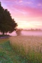 Landscape, park and clouds in nature, sunset or peace in morning with countryside tranquility. Freedom, field and Royalty Free Stock Photo