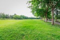 The landscape park and grass in city Royalty Free Stock Photo