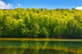 landscape with park pond. forest on the hill beneath a sky with puffy clouds