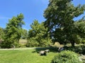 Landscape of the Park and trees on the island of flowers - Flower Island Mainau on the Lake Constance or Die Blumeninsel