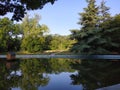 Landscape in the park view of the pond, summer in the park