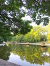 Landscape in the park view of the pond, summer in the park