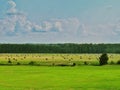 Landscape pasture rolls of hay