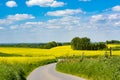 Agrarian fields, curved path, rural landscape, spring season, flowering yellow canola, blue sky