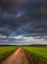 Landscape path through fields dramatic sky