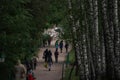 Landscape of path in park in Yasnaya Polyana, Russia