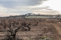 Landscape in Penedes wine area, Catalonia, Spain. Royalty Free Stock Photo