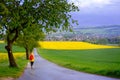 Landscape with a person in a yellow jacket and a dog in fields of blooming rapeseed in Germany