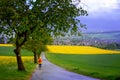 Landscape with a person in a yellow jacket and a dog in fields of blooming rapeseed in Germany