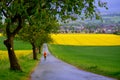 Landscape with a person in a yellow jacket and a dog in fields of blooming rapeseed in Germany