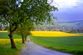 Landscape with a person in a yellow jacket and a dog in fields of blooming rapeseed in Germany