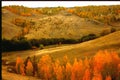 Landscape pespektiva hills and ravines trees covered with golden autumn leaves Royalty Free Stock Photo