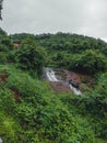 A landscape phot of a sawatsada waterfall in the middle of a forest in chiplun.