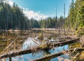 Landscape photo of Belcarra Regional Park in Metro Vancouver, Canada, British Columbia