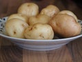 Bowl of raw epicure potatoes Royalty Free Stock Photo