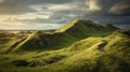 Captivating Heath Photograph Of Danish Hills With Perfect Lighting