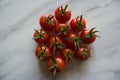 Group of gardeners delight tomatoes on a table