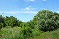 Landscape Photo - Green Field, Clouds And Blue Sky. Nature, Ecology, Travel Concept. Royalty Free Stock Photo