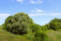 Landscape Photo - Green Field, Clouds And Blue Sky. Nature, Ecology, Travel Concept. Royalty Free Stock Photo