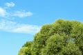 Landscape Photo - Green Field, Clouds And Blue Sky. Nature, Ecology, Travel Concept. Royalty Free Stock Photo