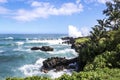 Ocean Waves Landscape Photograph Hawaii Palm Trees Rocks and Turtle