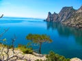 Landscape photo with the image of a lonely tree on the outskirts of the mountain with the background of the black sea