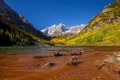 Landscape photo of Maroon bell in Aspen Colorado autumn season, USA Royalty Free Stock Photo