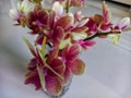 Landscape photo of one bucked of pink orchid flowers put it in the glass