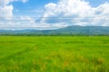 Landscape photo or scenic view of rice farm and mountain and blue sky and white clouds. This photo shoot through mirror glass wind Royalty Free Stock Photo