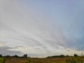 Landscape photo taken on a summer day in the afternoon with a beautiful sky with cirrus clouds, green fields, trees, plants on a